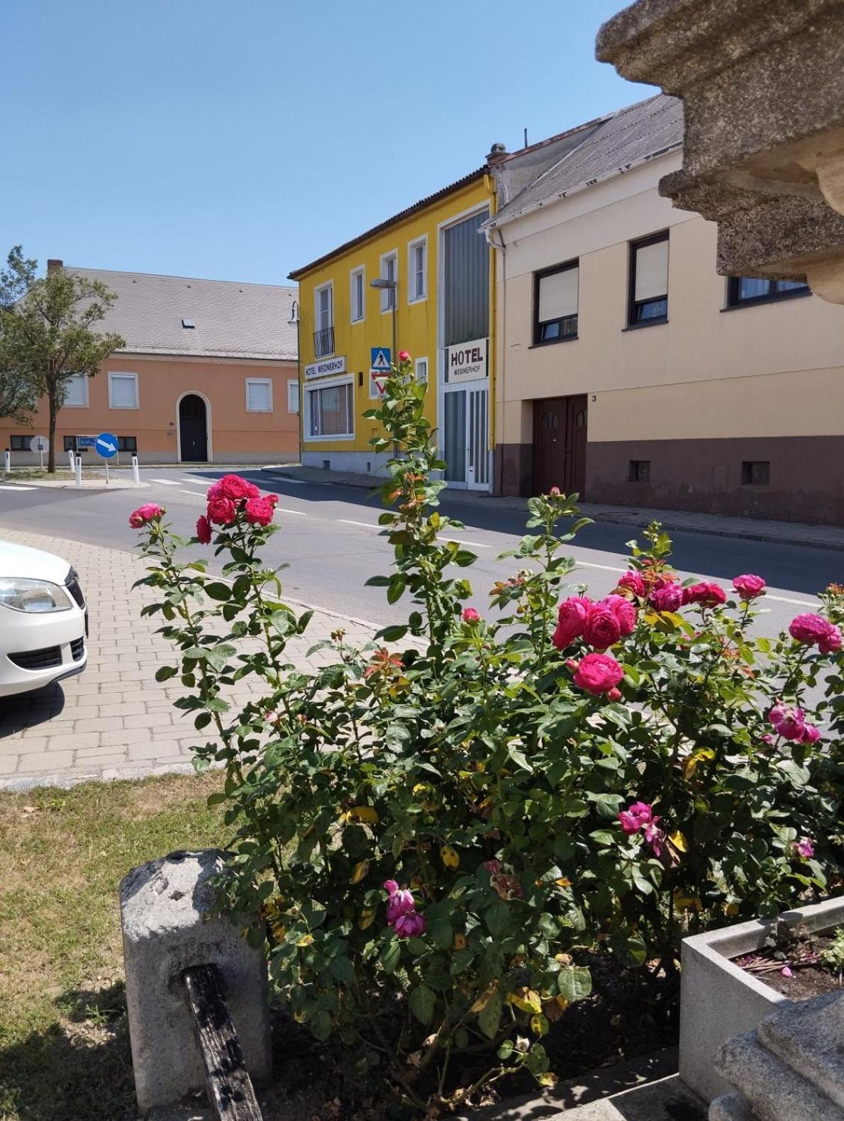 Hotel Weidnerhof Вайден ам Зее Екстериор снимка